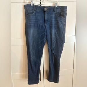 Democracy Jeans skinny leg absolution size 16 casual comfy